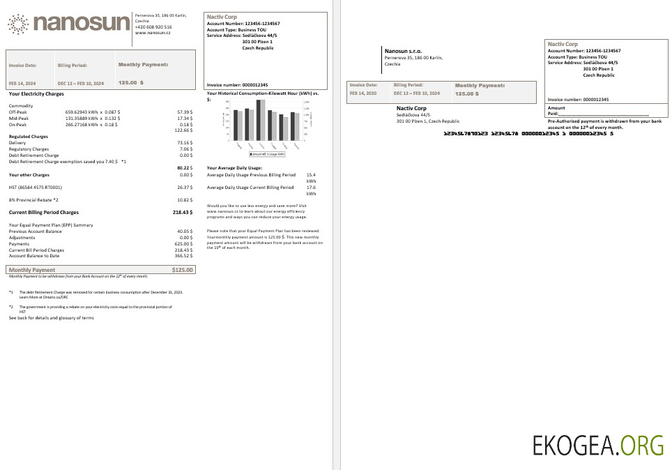 Modèle de facture de services publics d'entreprise de République tchèque Nanosun sro dans Word aux formats pfd